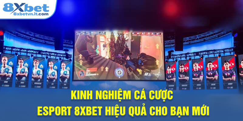 Kinh nghiệm cá cược esport 8XBET hiệu quả cho bạn mới